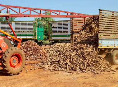 สหกรณ์จังหวัดบุรีรัมย์ พร้อมด้วยกลุ่มส่งเสริมสหกรณ์ 3 ... พารามิเตอร์รูปภาพ 11